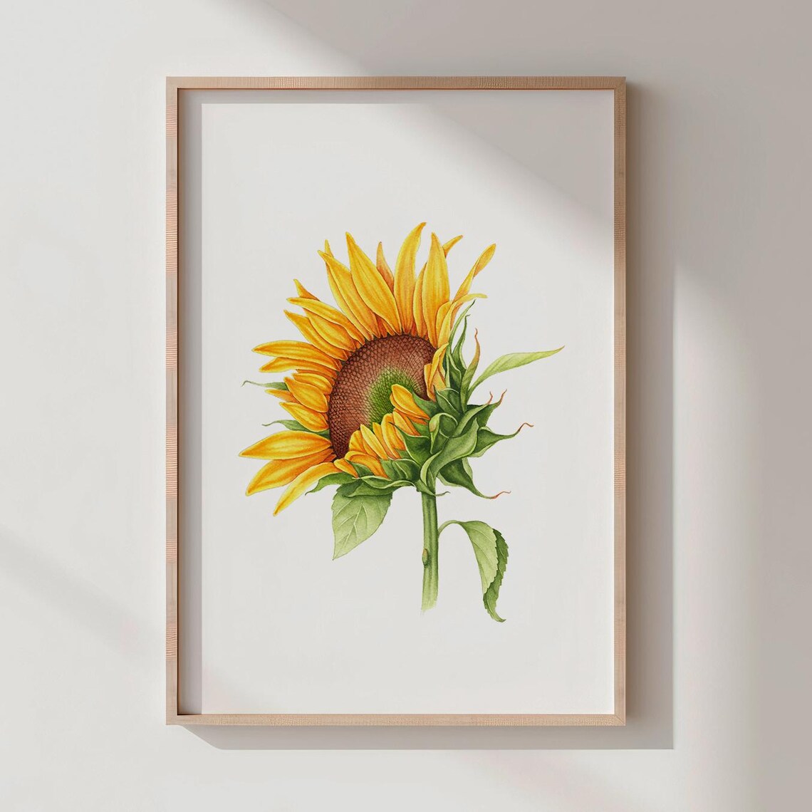 Sunflower Watercolor Print Rustic Botanical Wall Art