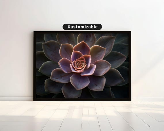 Succulent Rosette In Central Balanced Composition Botanical Wall Art Neutral Minimal Print