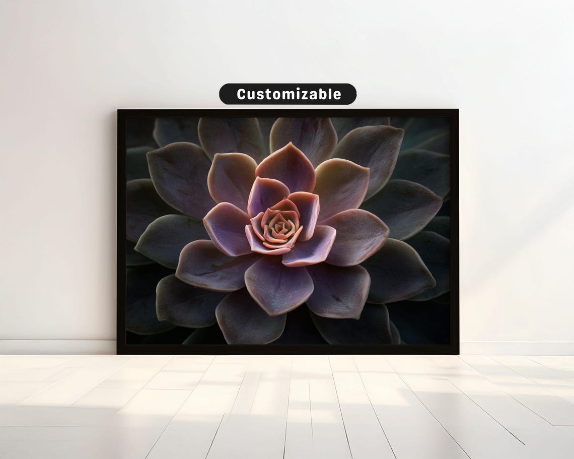 Succulent Rosette In Central Balanced Composition Botanical Wall Art Neutral Minimal Print