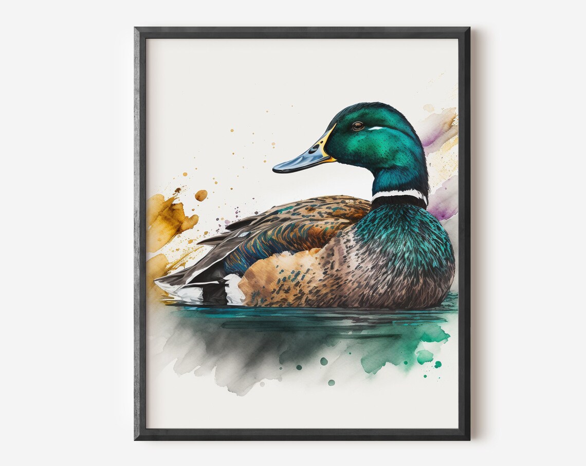 Mallard Duck Drake Green Head Watercolor Swimming Bird Art Poster