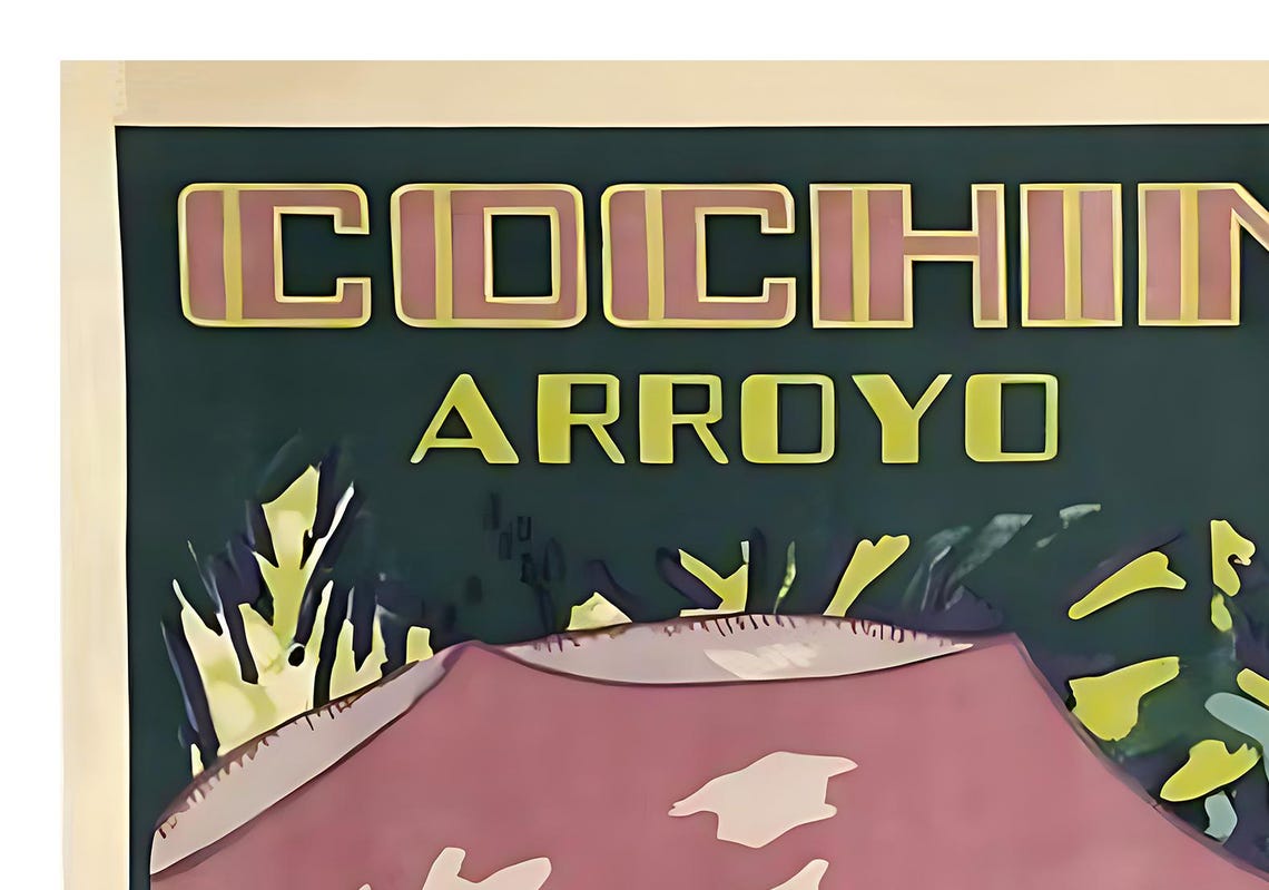 Cochinchine Arroyo Vietnam Parasol Waterway French Indochina Poster - Image 2