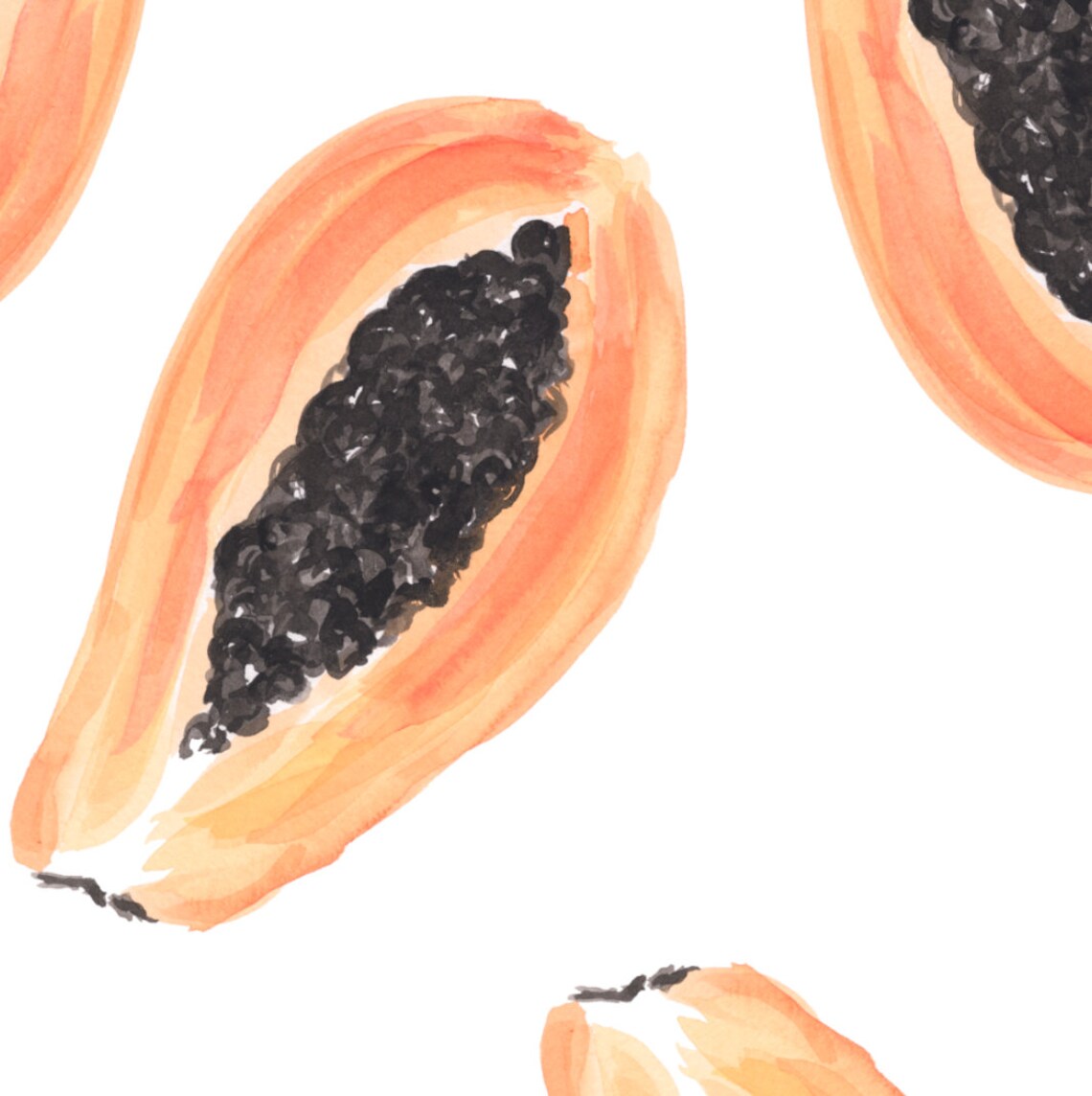 Papaya Art Print, Sabina Fenn Gouache and Watercolor - Image 4