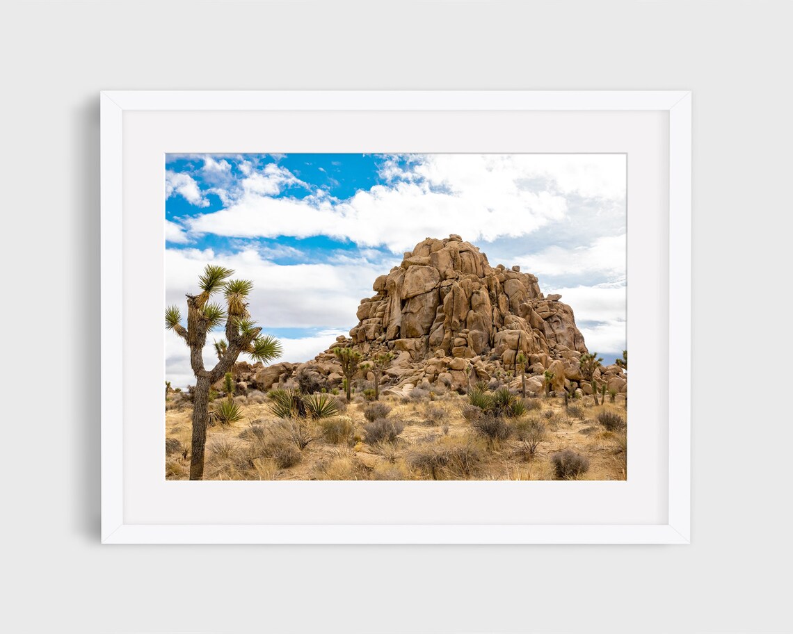 Joshua Tree California Desert Landscape Print