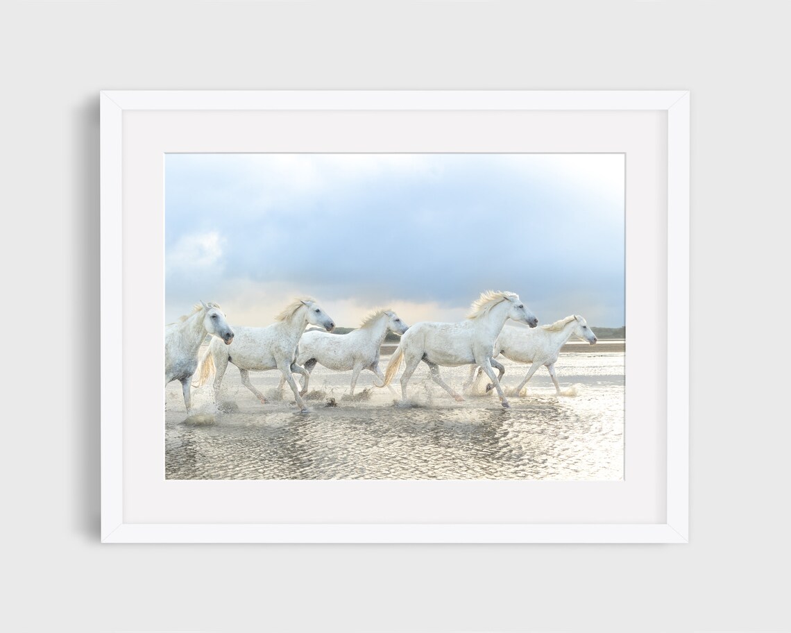 Camargue Wild Horse Photography, Nature Art Print
