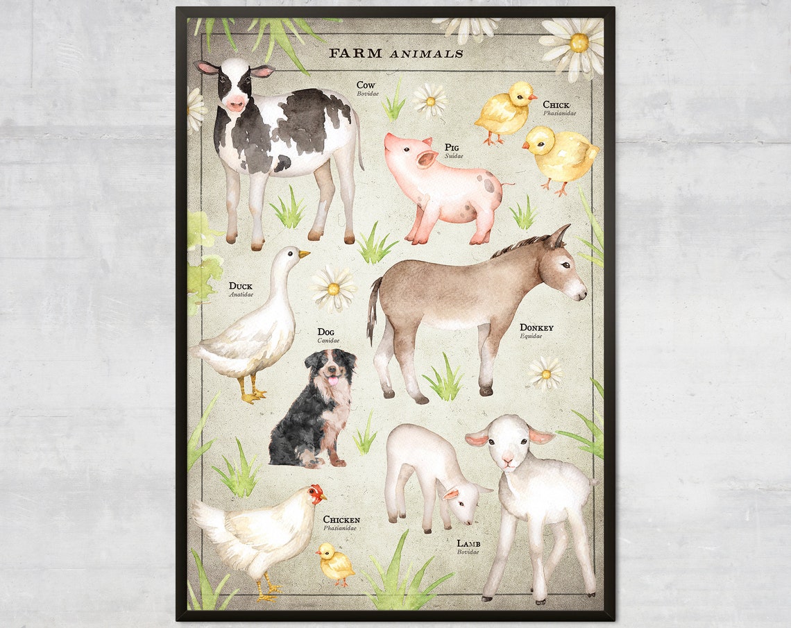Farm Animals Educational Chart Watercolor Kids Nursery Poster