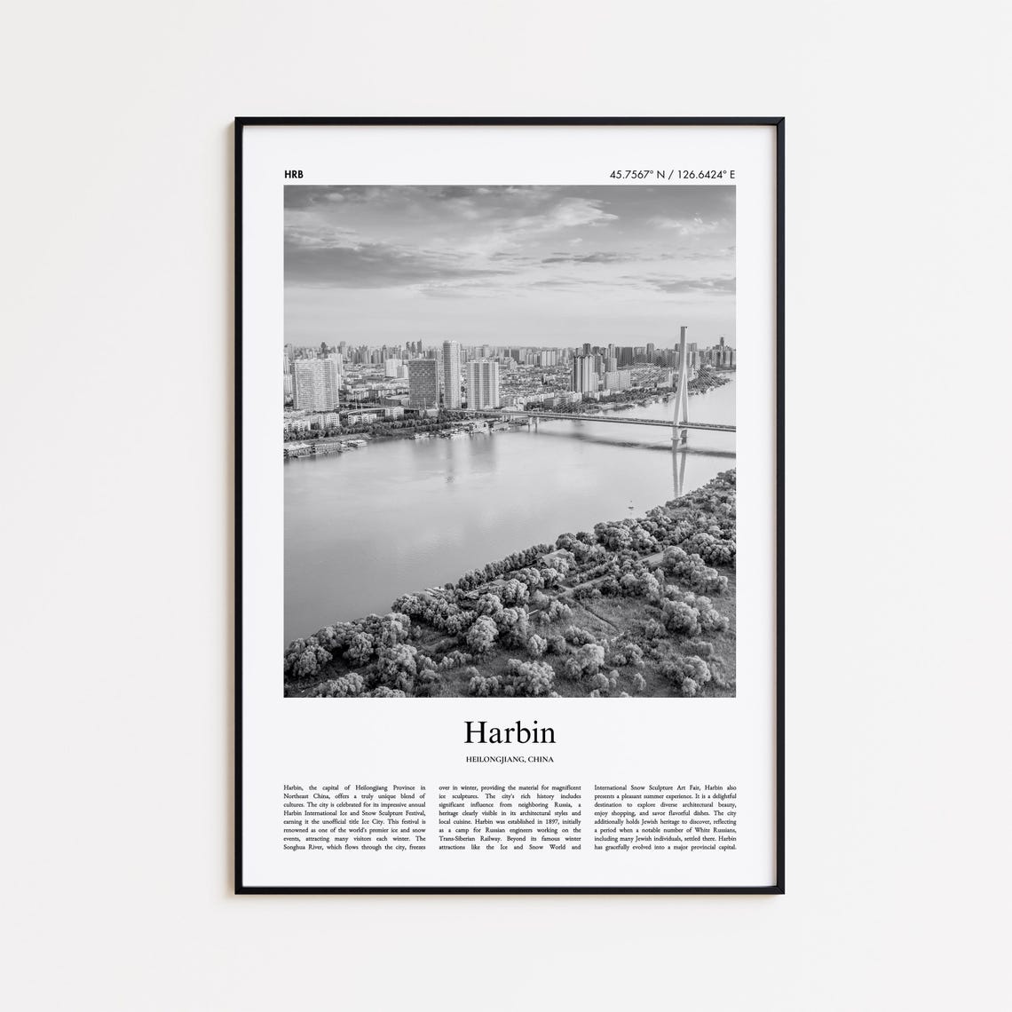 Harbin China City River Bridge Aerial Black And White Travel Poster