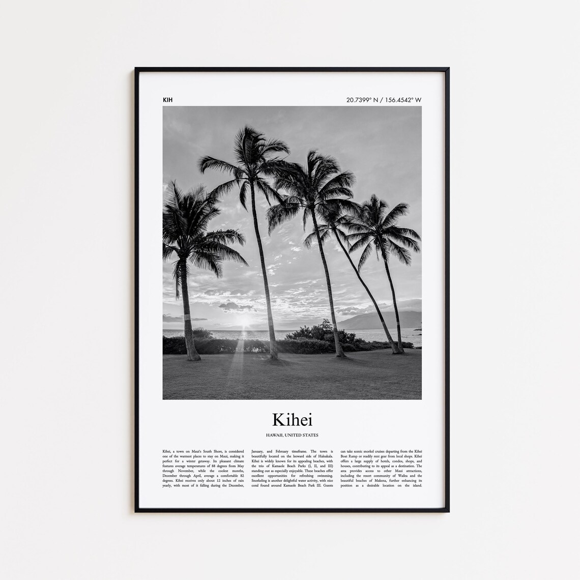 Kihei Hawaii Black And White Palm Trees Beach Photo Poster Art