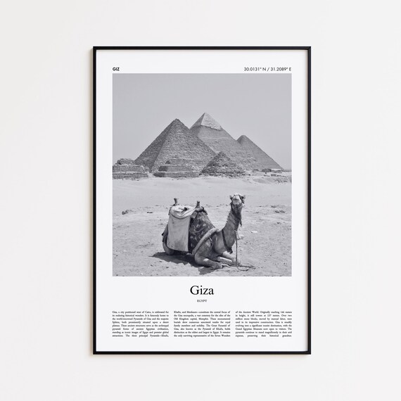 Giza Egypt Black And White Pyramids Camel Desert Photo Poster
