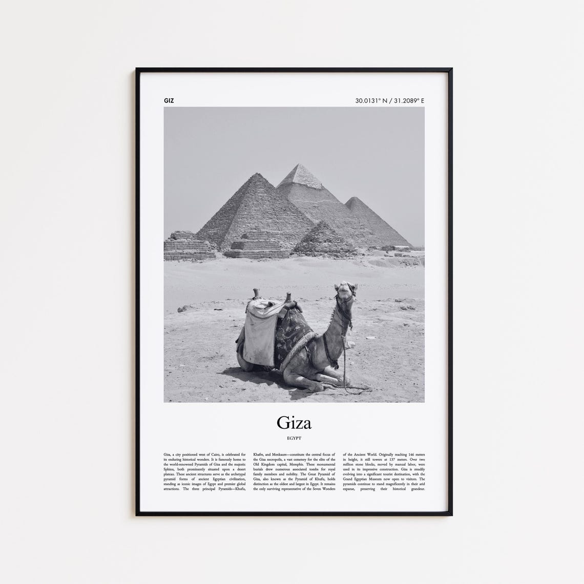 Giza Egypt Black And White Pyramids Camel Desert Photo Poster