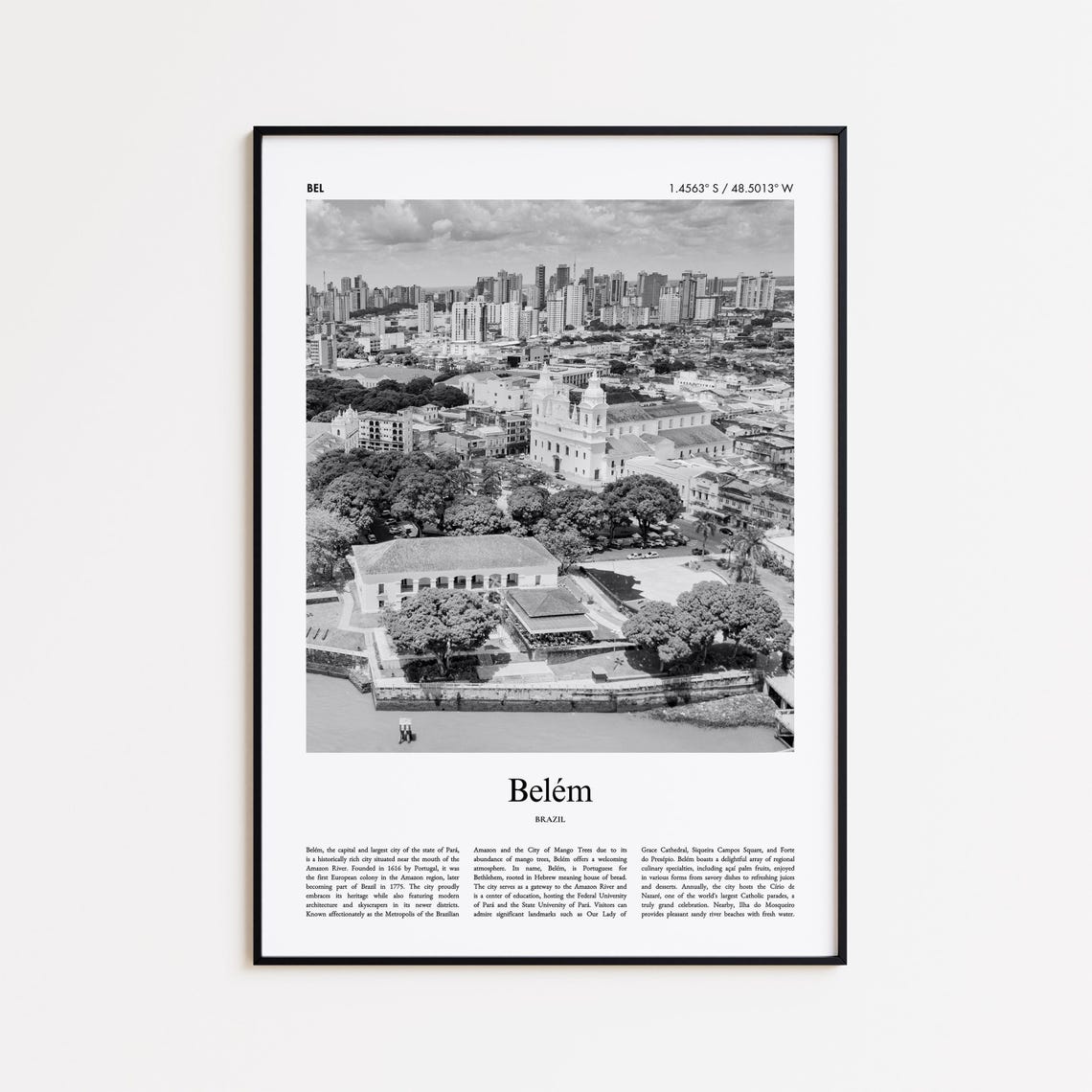 Belem Brazil Amazon City Aerial Black and White Photo Poster