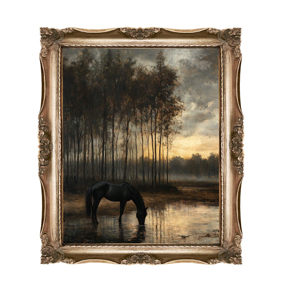 Wild Horse Drinking At A Forest Pond At Golden Sunset Oil Poster