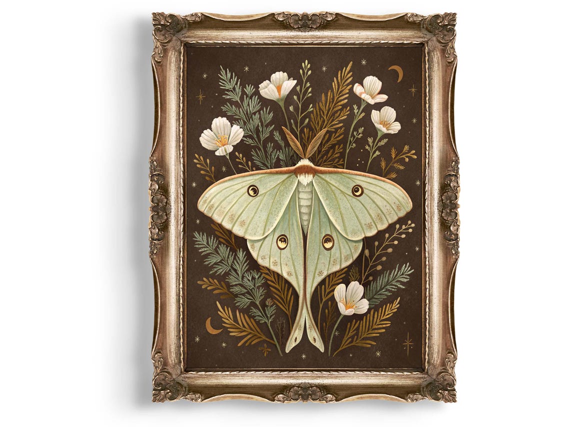Luna Moth Wall Art Floral Print Botanical Illustration Insect Celestial Home Decor