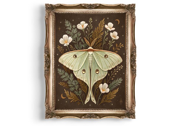 Luna Moth Celestial Night Botanical Illustration Insect Wall Art
