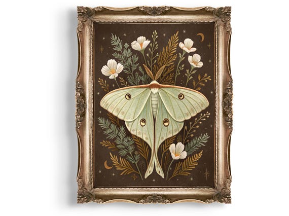 Luna Moth Wall Art Floral Print Botanical Illustration Insect Celestial Home Decor