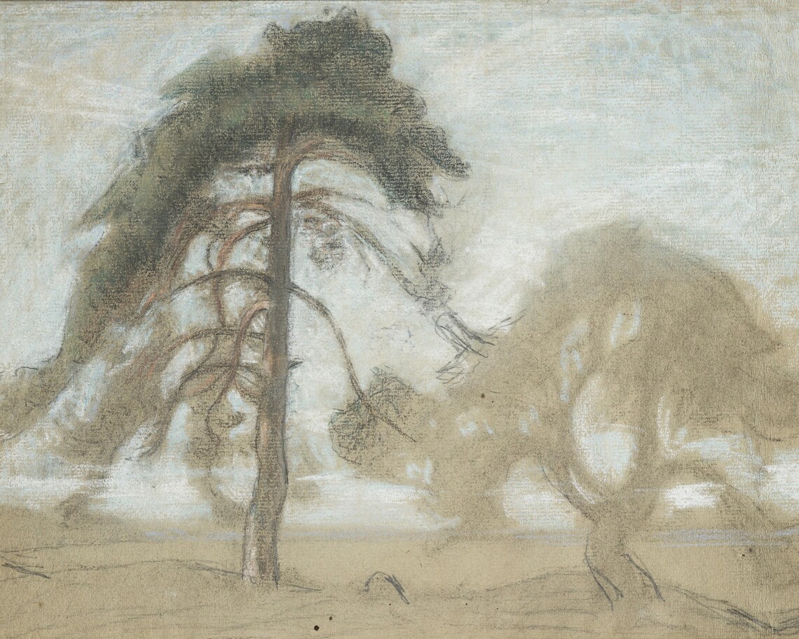 Tree Sketch Art, Nature Inspired Illustration - Image 3