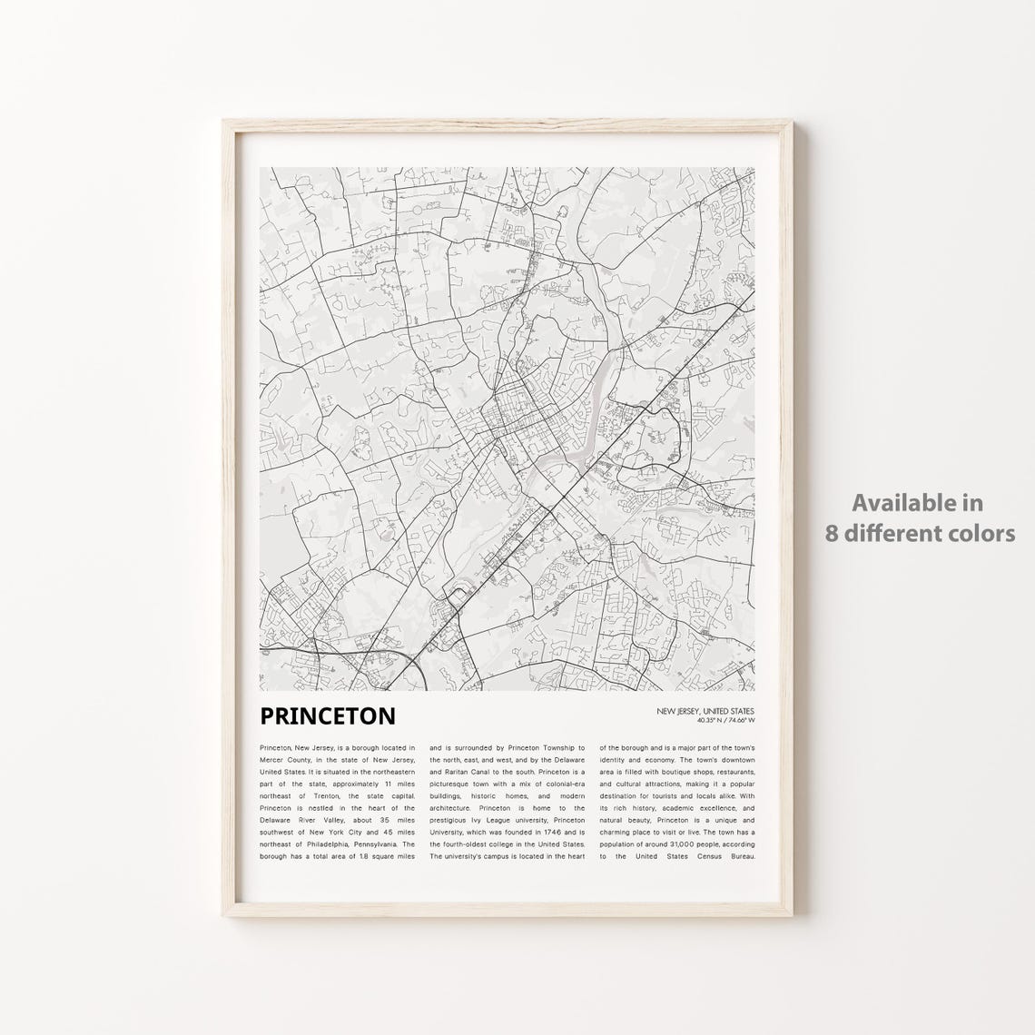 Princeton New Jersey Detailed Minimalist City Map Street Plan Poster