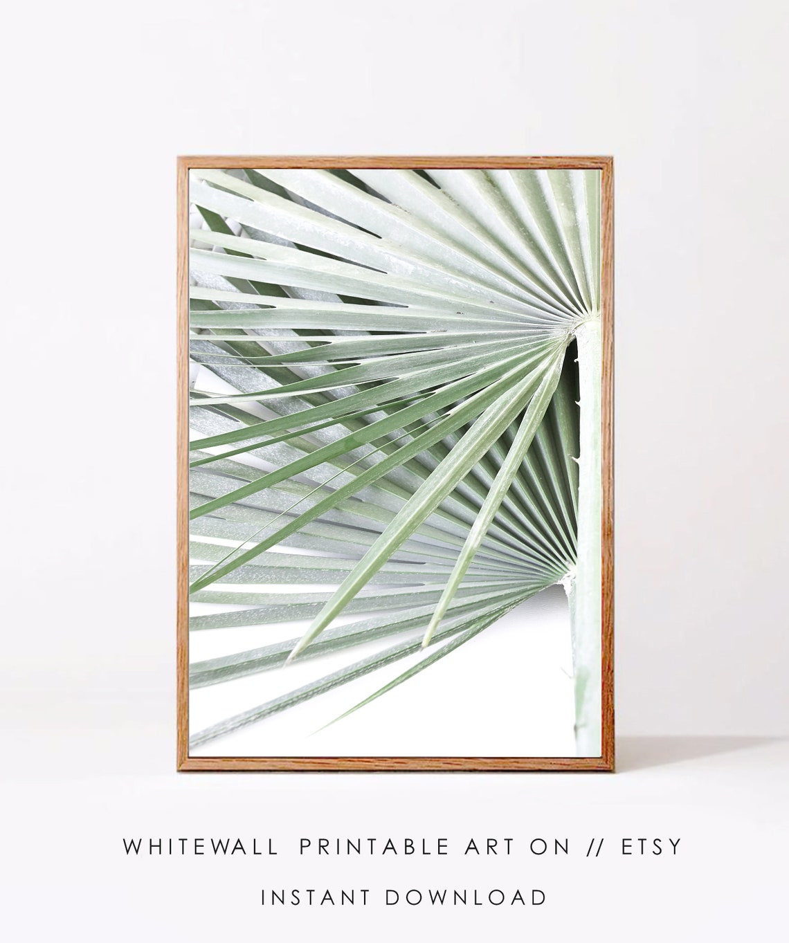 Palm Leaf Tropical Botanical Art Print