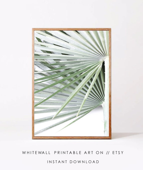 Palm Leaf Tropical Botanical Art Print