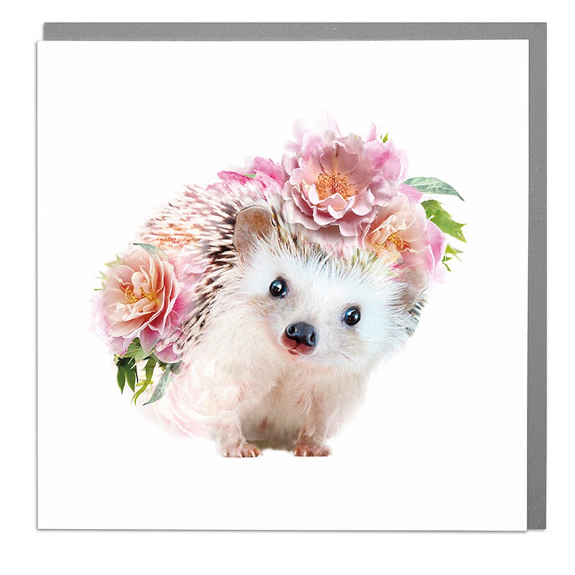 Rose Hedgehog Art Print