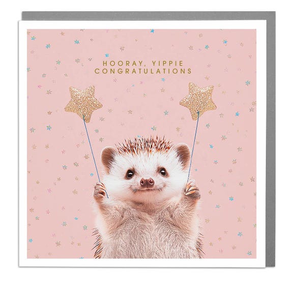 Hedgehog Hooray Yippie Congratulations Card