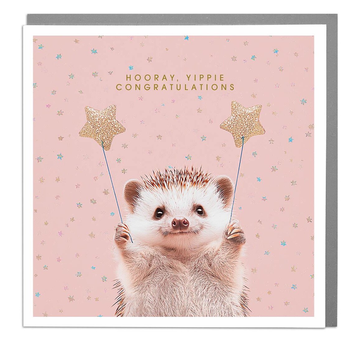 Hedgehog Hooray Yippie Congratulations Card