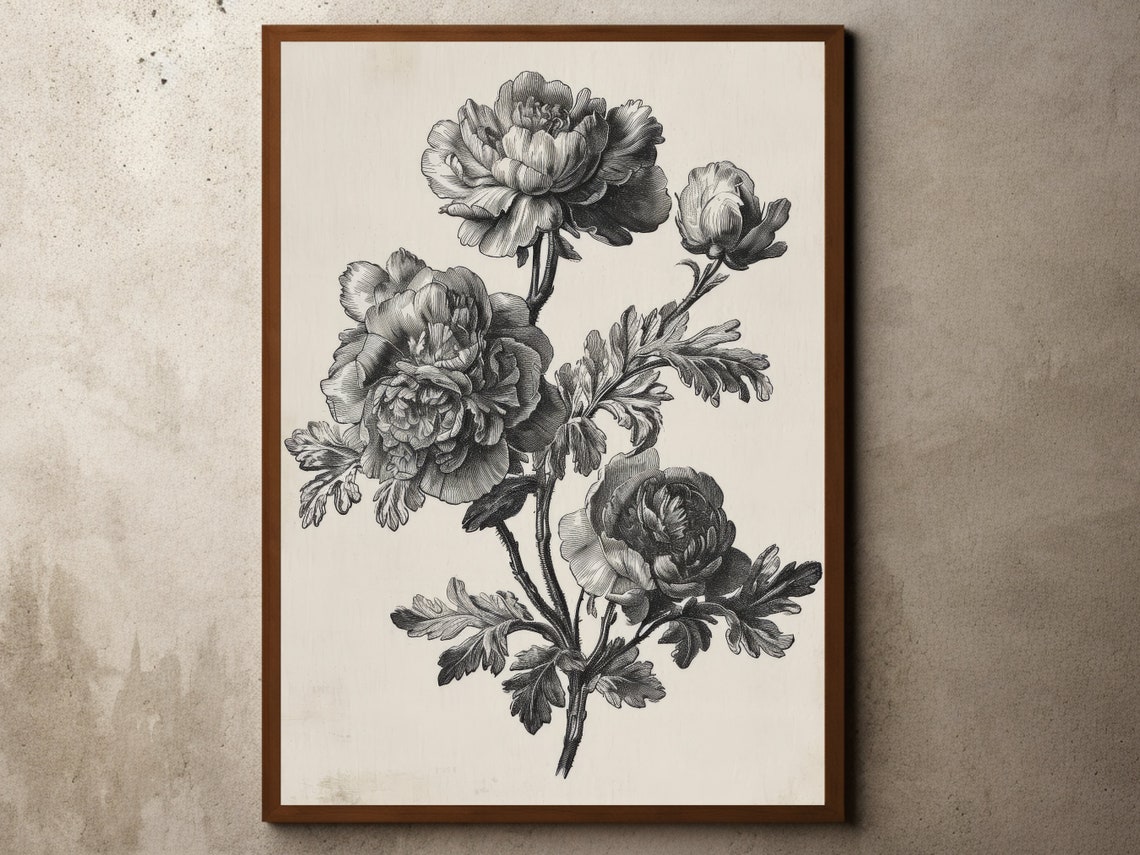 Vintage Peony Botanical Engraving Black And White Floral Art Poster