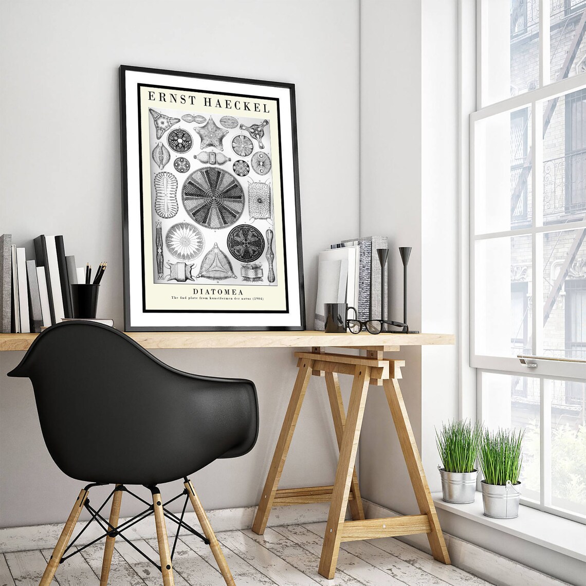 Ernst Haeckel Diatomea Plate 04 Botanical Art Print - Image 3