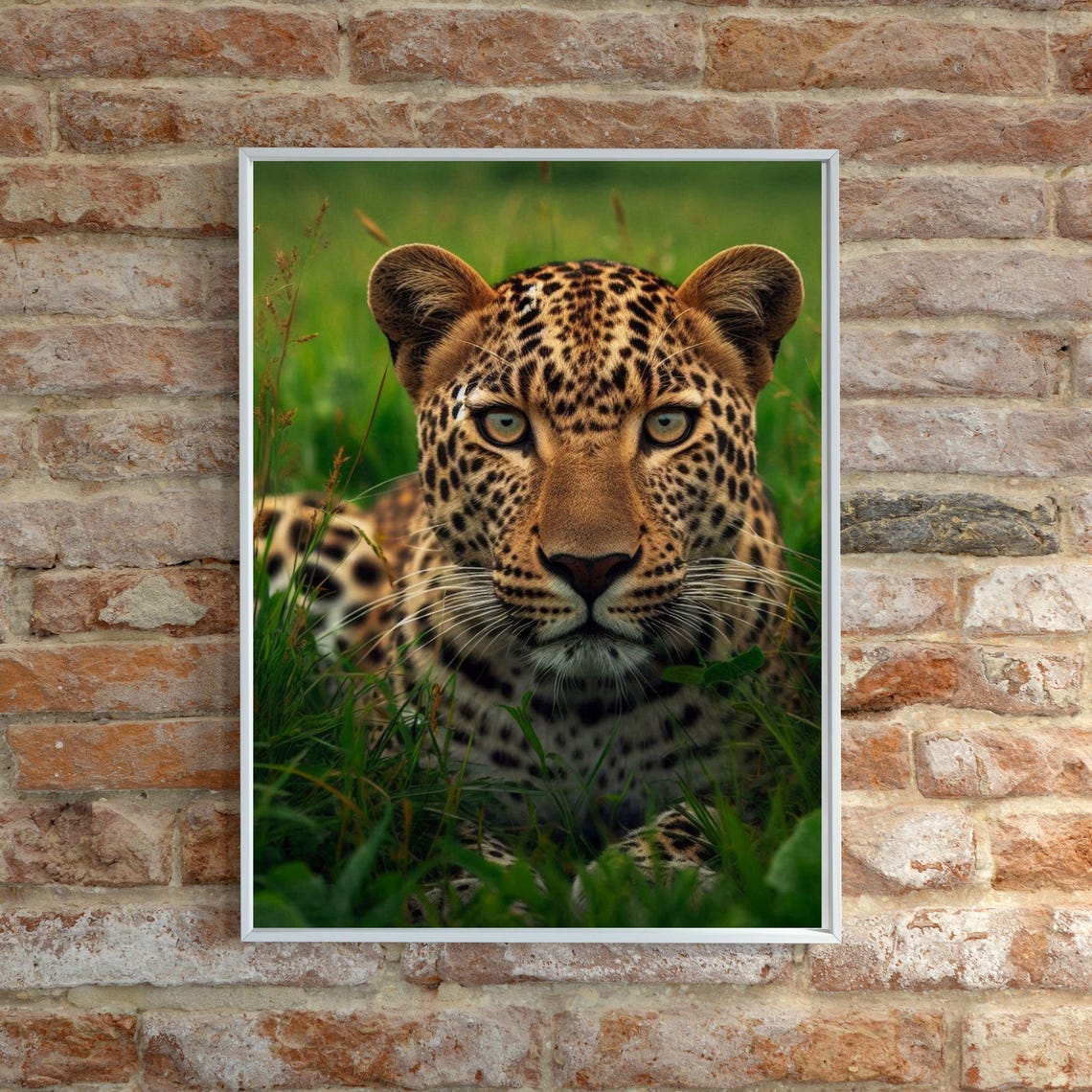 Intense Leopard Staring Through Tall Green Grass Wildlife Poster