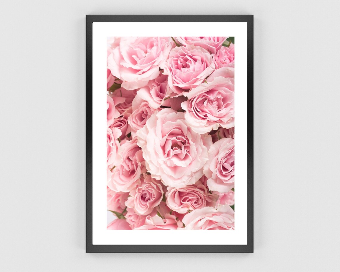 Rose Botanical Print, Minimalist Living Room Art Print - Image 3