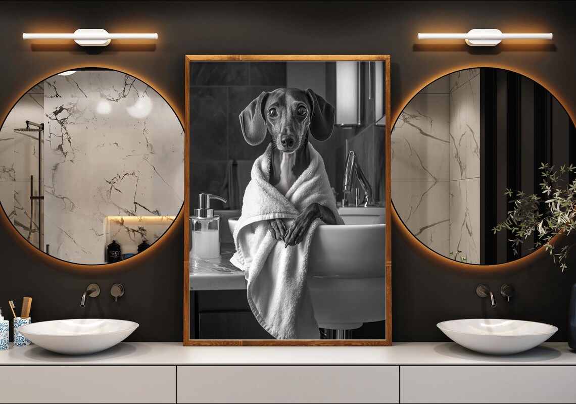 Dachshund Wrapped In White Towel Black And White Dog Photo Poster - Image 3