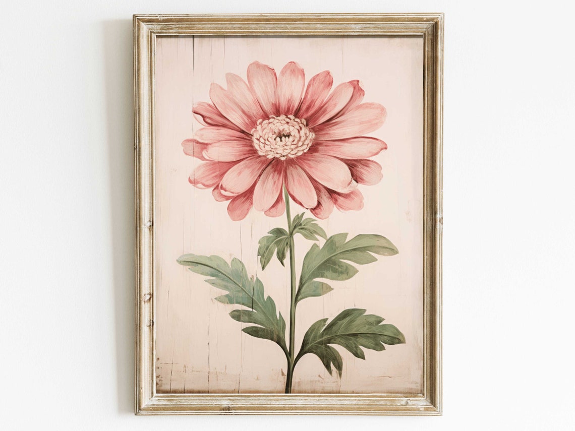 Blush Pink Daisy Flower Vintage Rustic Botanical Flower Poster