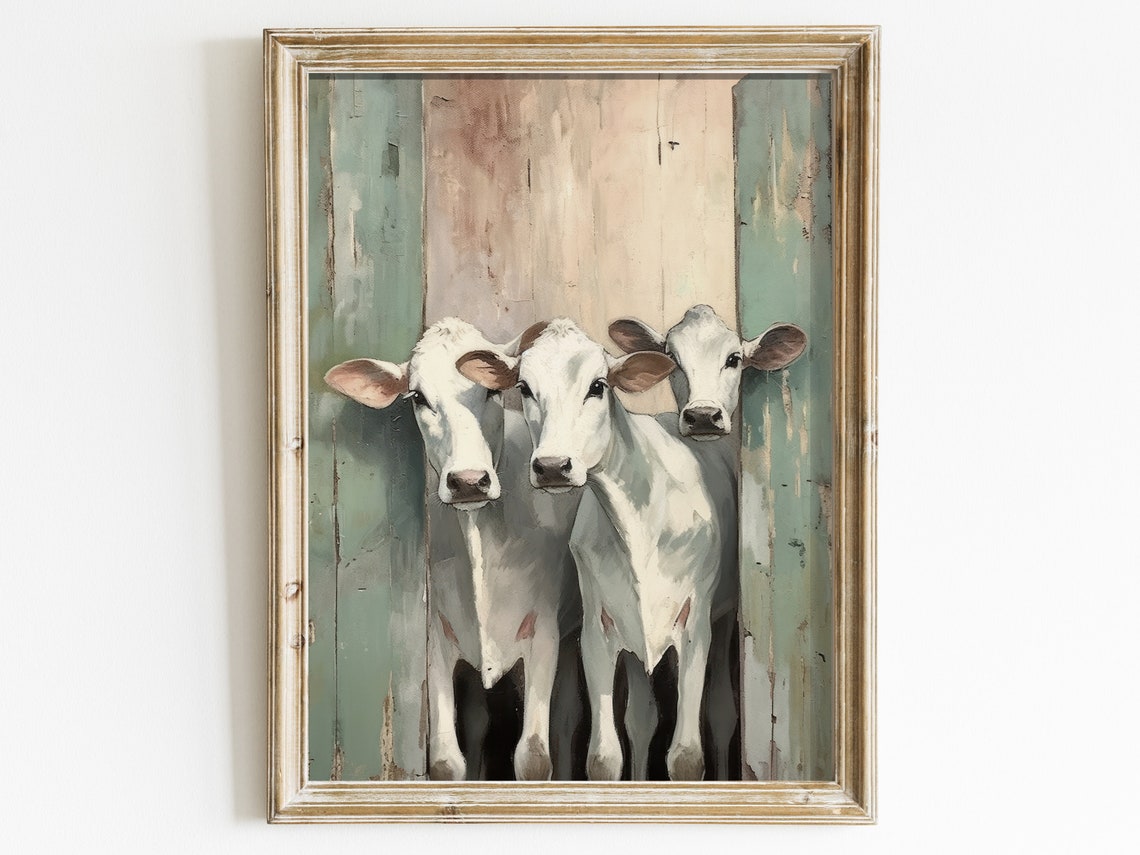 Three White Cows Peeking from a Sage Green Barn Door Wall Poster