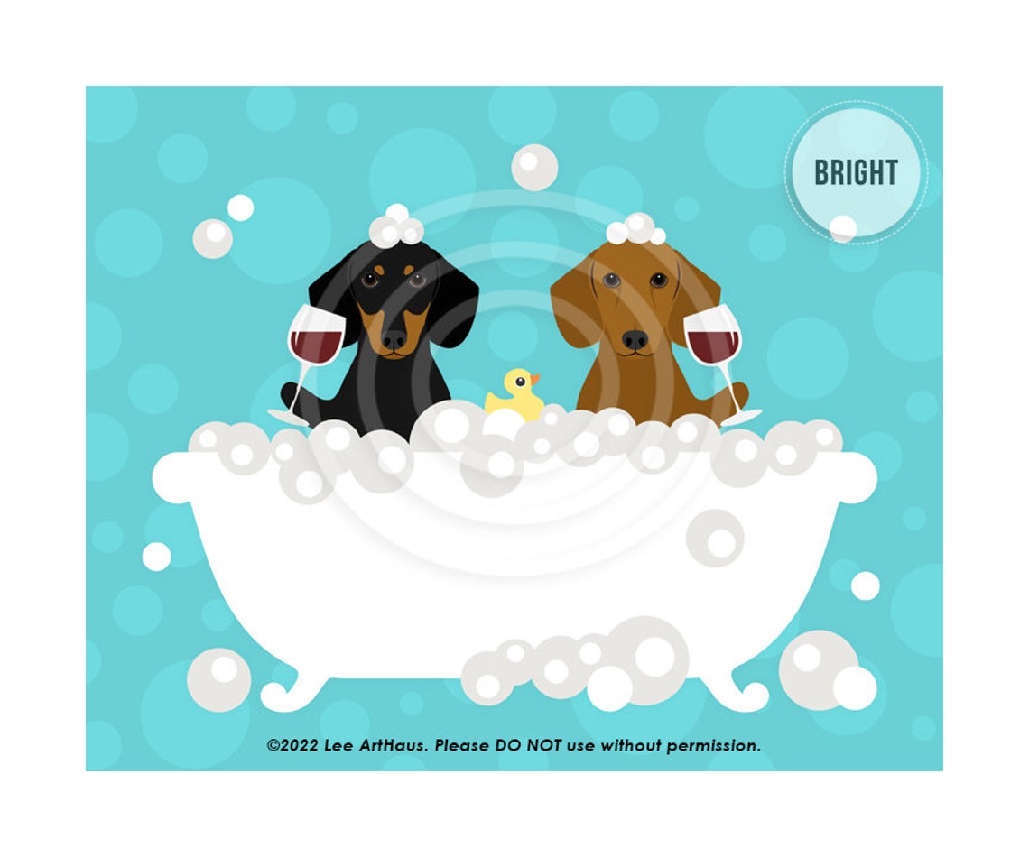 Two Dachshunds Drinking Wine In Bubble Bath With Rubber Duck Poster - Image 2