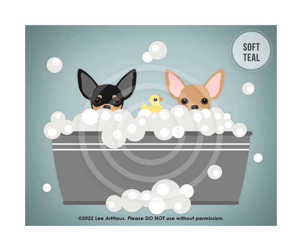 Two Chihuahuas Peeking Bubble Bath Gray Metal Tub Soft Teal Poster