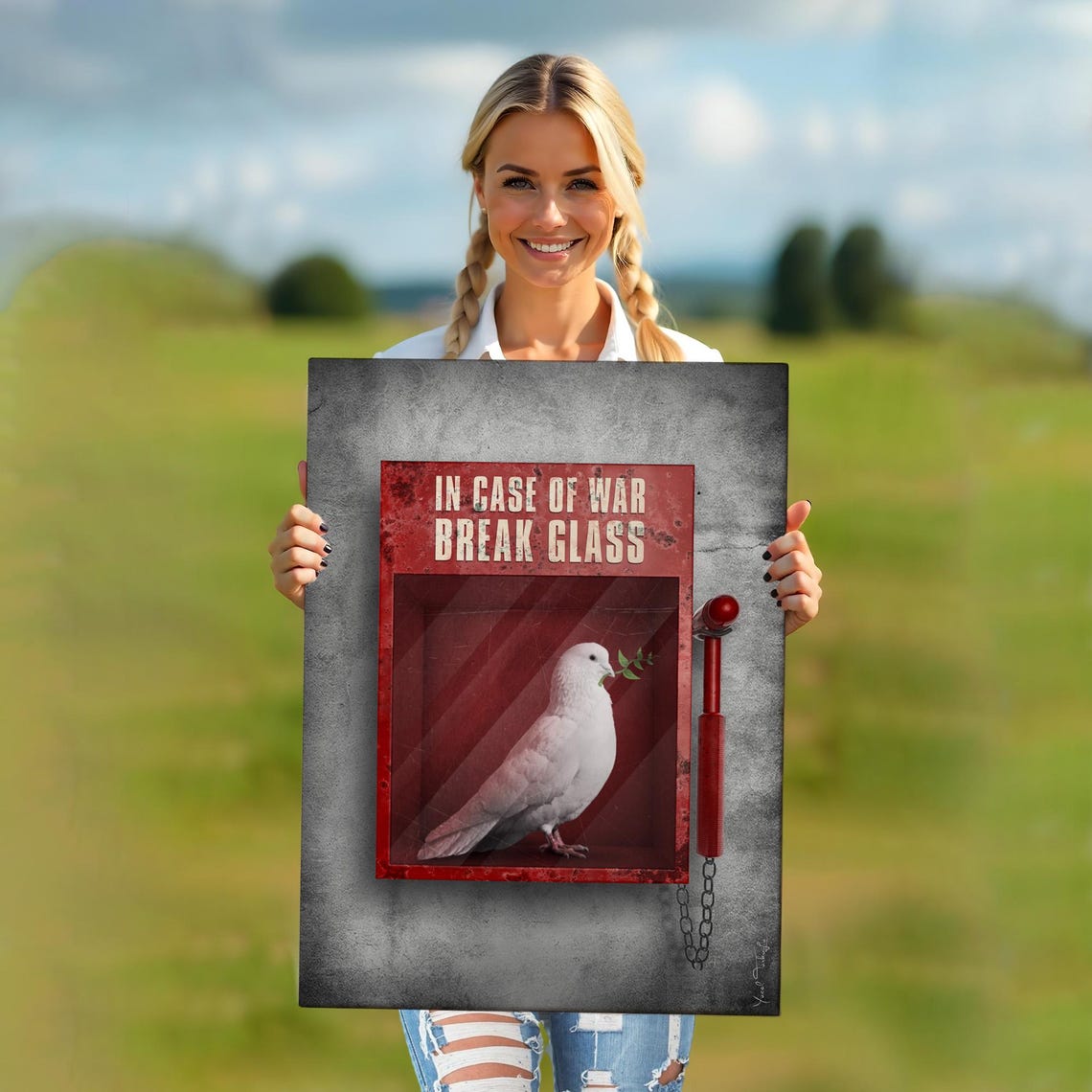 In Case of War Break Glass Dove Peace Emergency Box Satirical Wall Art - Image 5