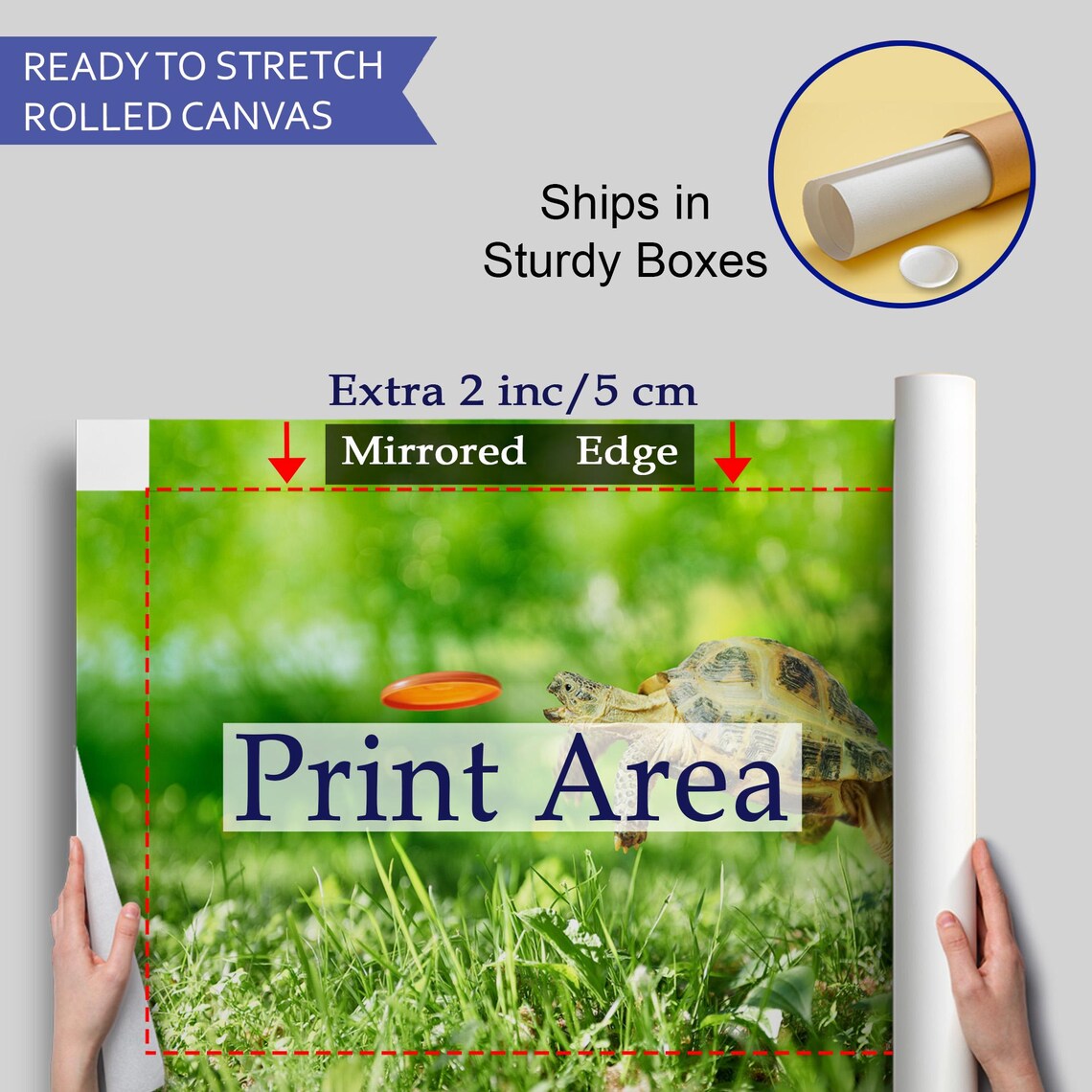 Funny Tortoise Jumping To Catch Orange Frisbee Green Grass Photo Poster - Image 4
