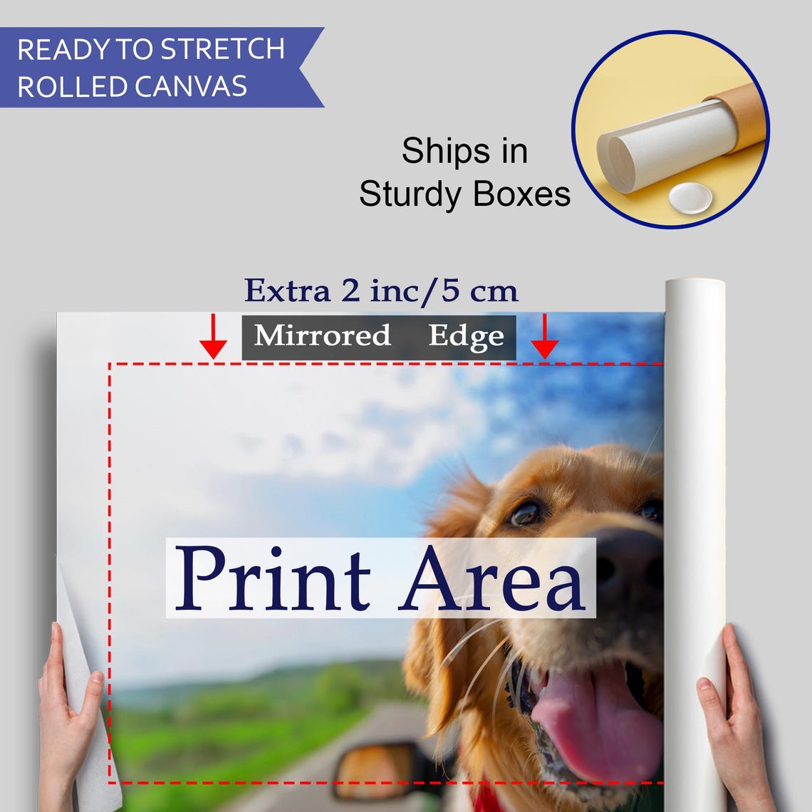 Happy Golden Retriever Head Out Car Window Road Trip Photo Poster - Image 4