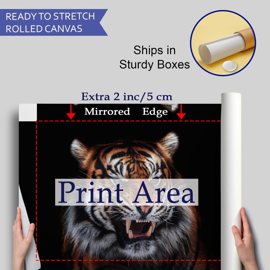 Snarling Tiger Close Up Dramatic Black Wildlife Portrait Wall Art - Image 4