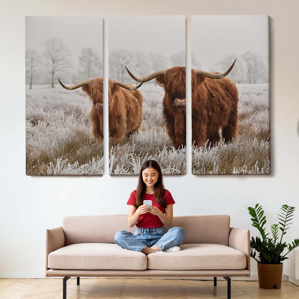 Scottish Highland Cattle Pair Frosty Winter Field Photography Poster - Image 2