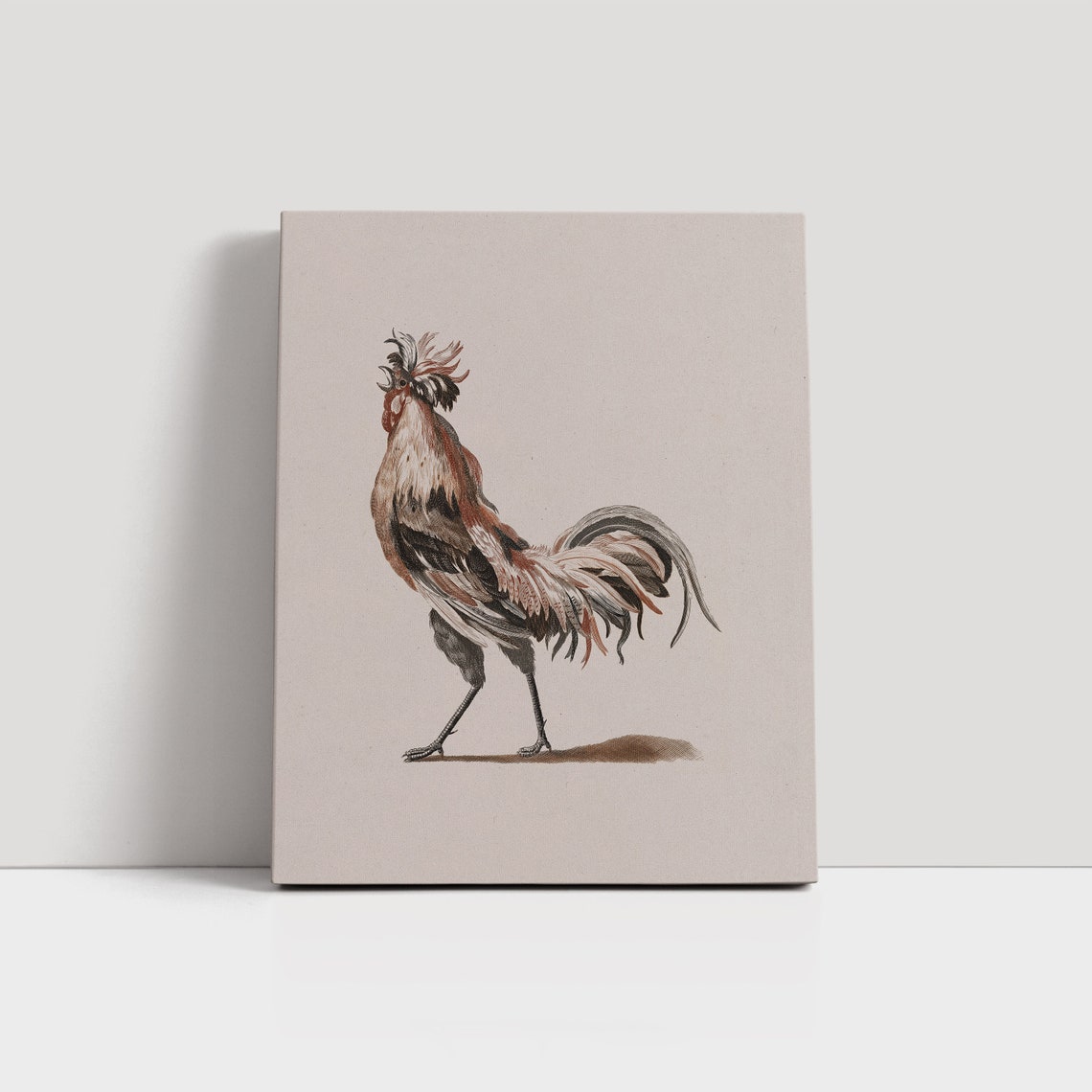 Vintage Rooster Illustration Antique Farm Bird Minimal Neutral Print - Image 6