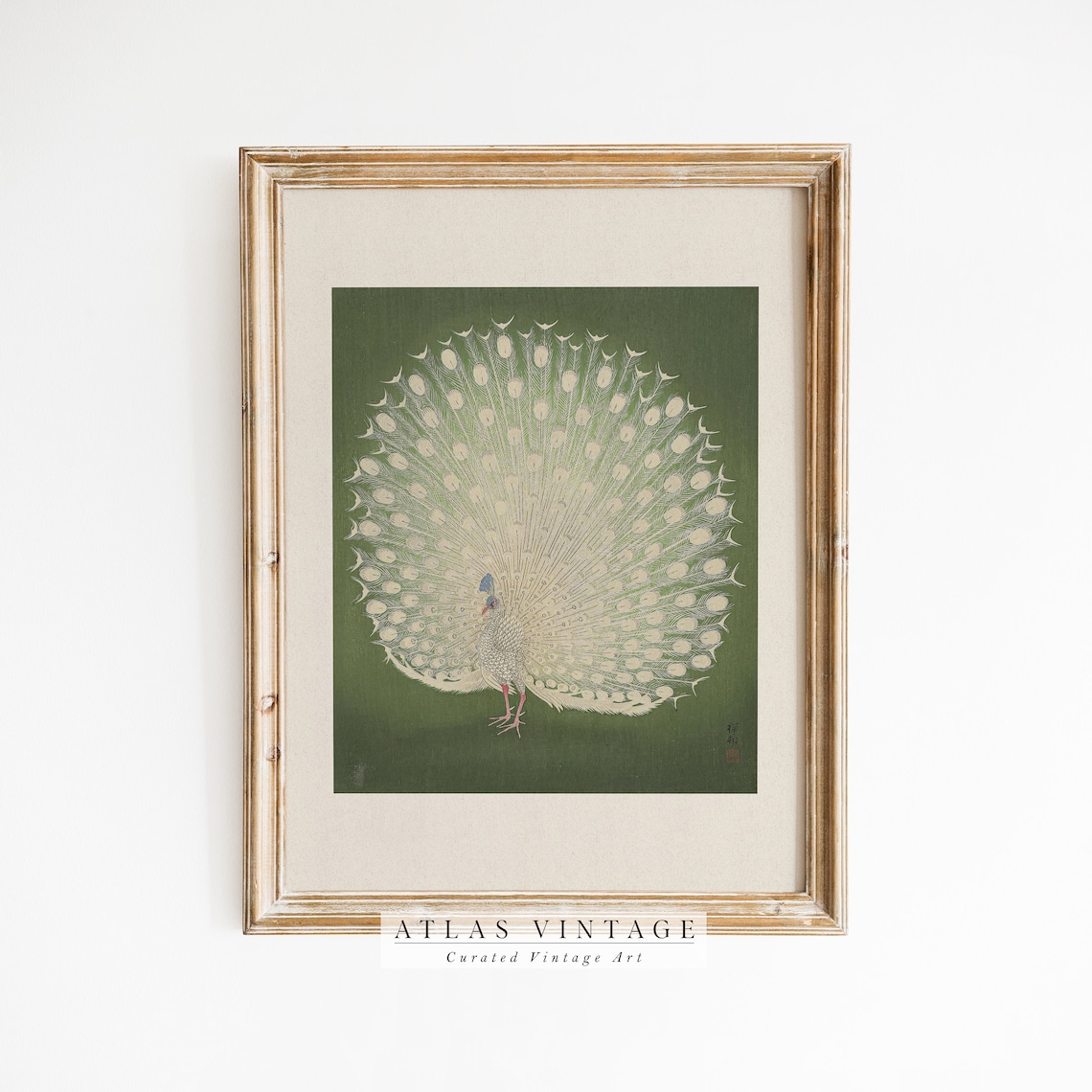 White Peacock with Fanned Tail on Green Japanese Style Poster