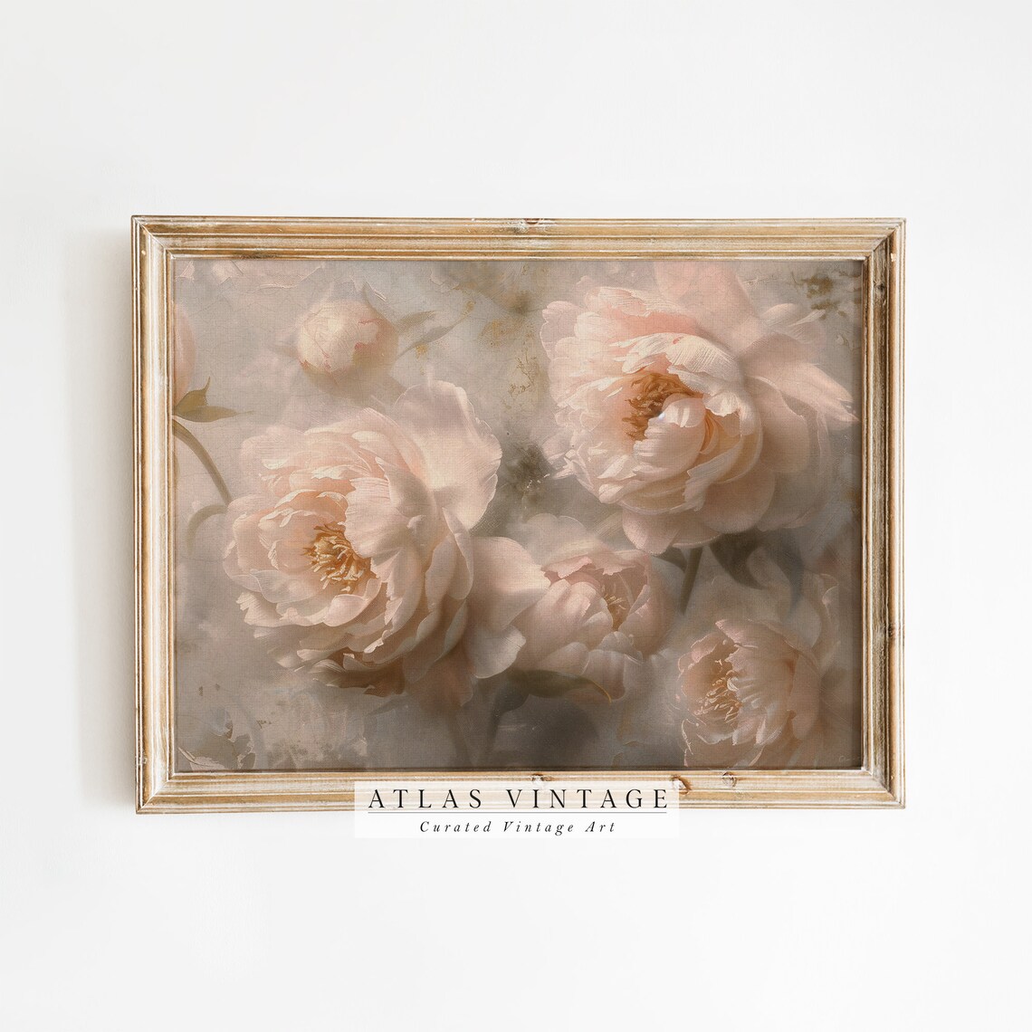 Soft Blush Pink Peony Blooms Romantic Floral Oil Painting Poster