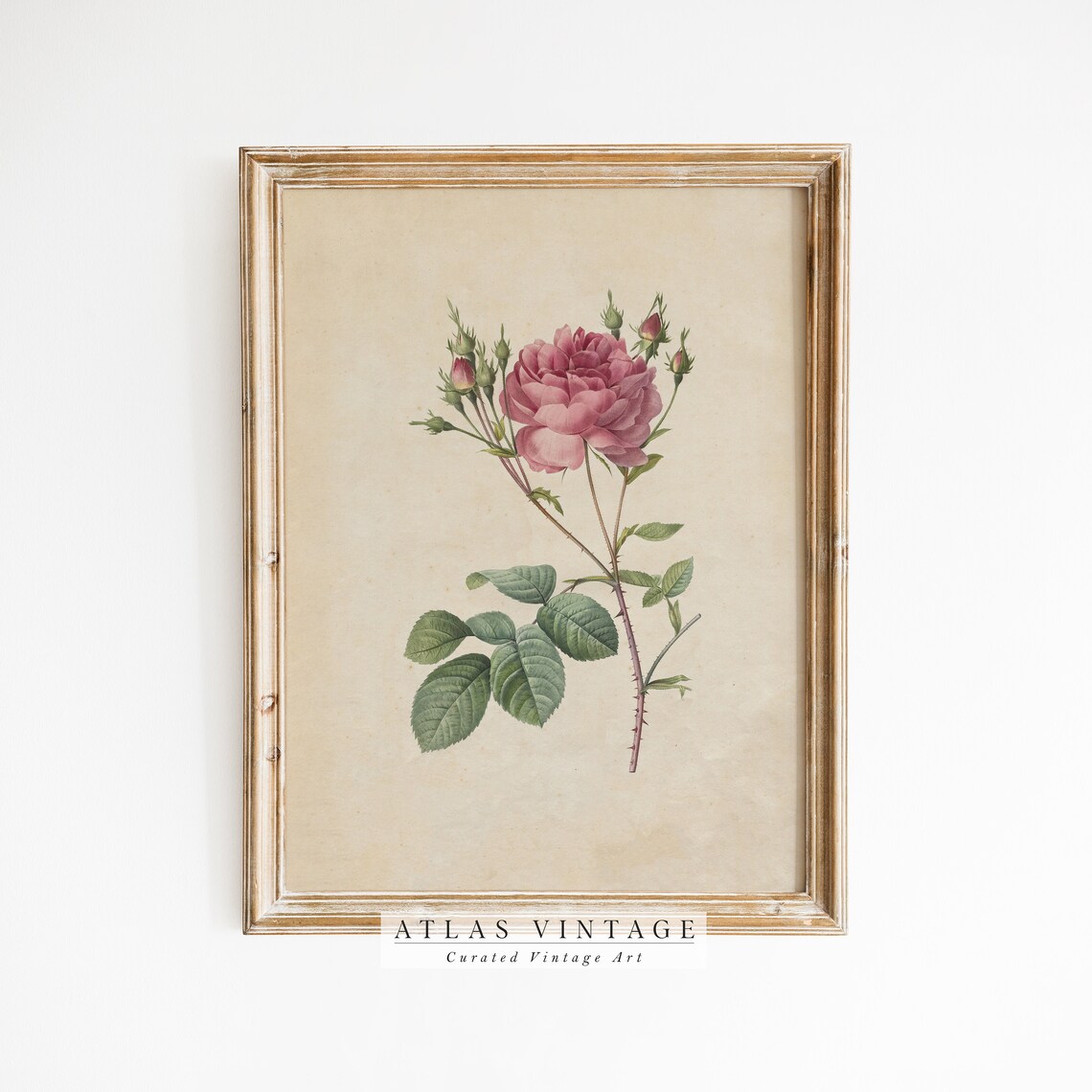 Vintage Digital Download Steps Card How To Purchase Download and Frame Print - Image 8