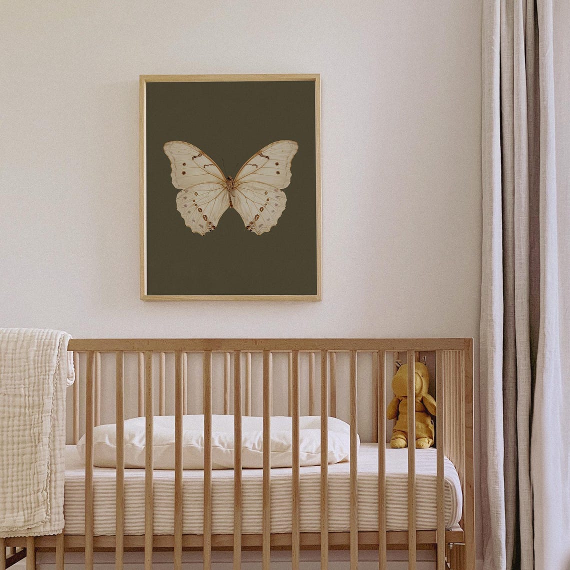 White Butterfly Specimen Dark Olive Botanical Style Art Poster - Image 7