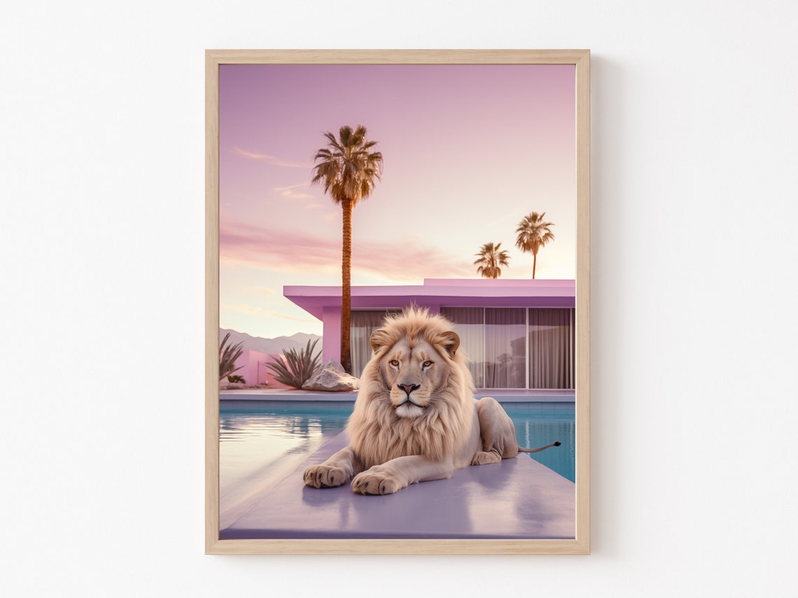 White Lion By Pink Villa Pool At Sunset Palm Springs Wall Art