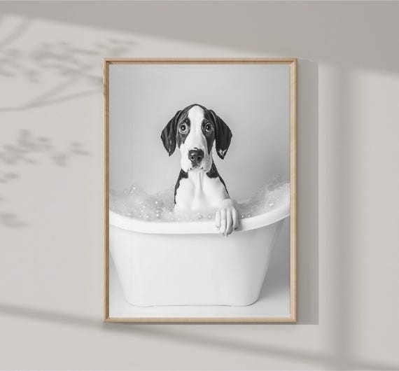 Cute Baby Dog In Tub Wall Art Elephant Photo Dog Art Bathroom Art Print