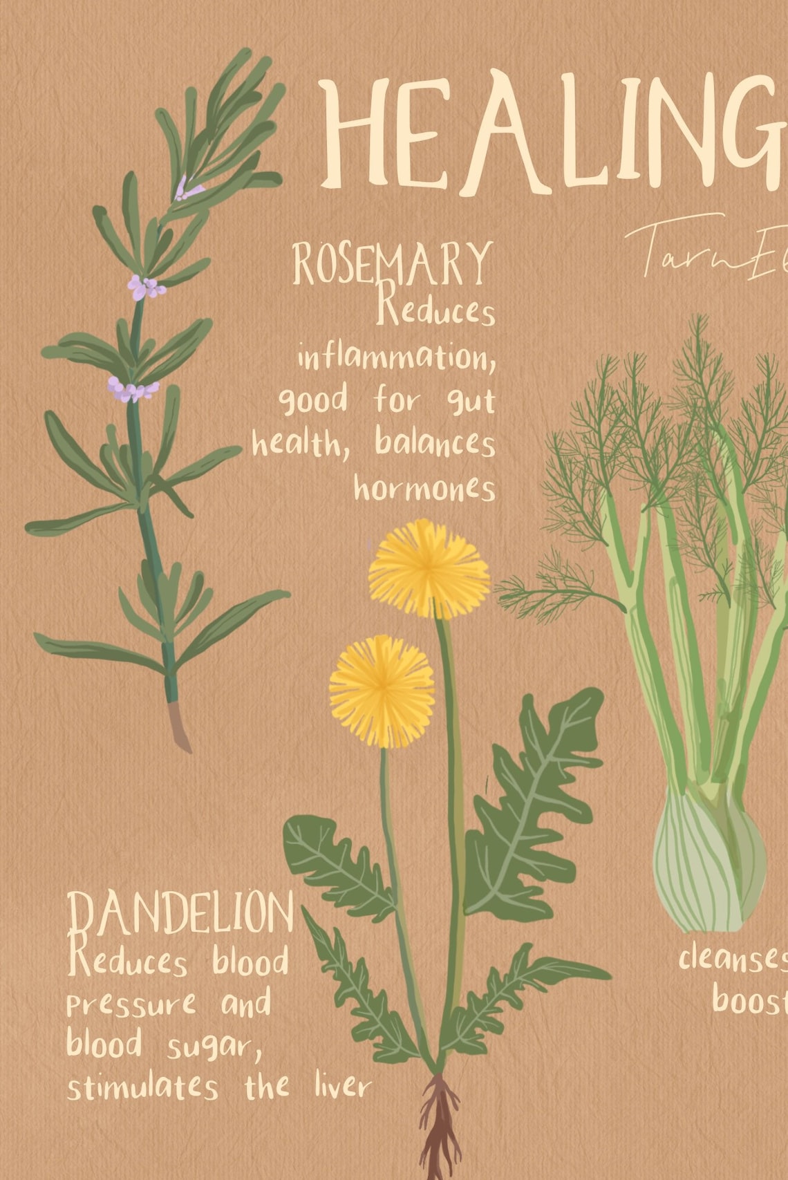 Healing Herbs Botanical Art Print, Boho Kitchen Decor - Image 2