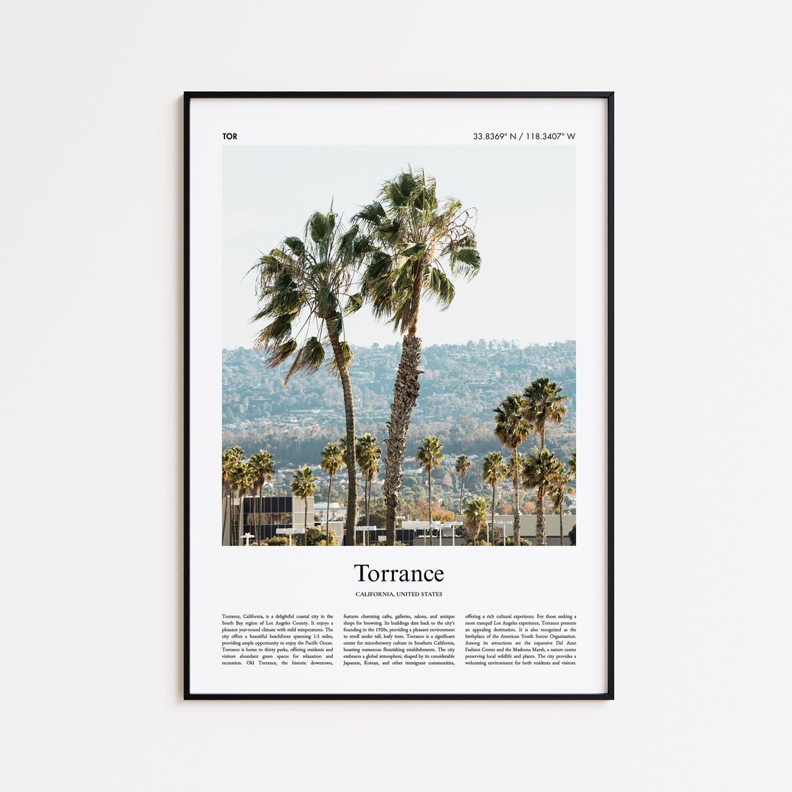 Torrance California Palm Trees Hillside View Photo Travel Poster