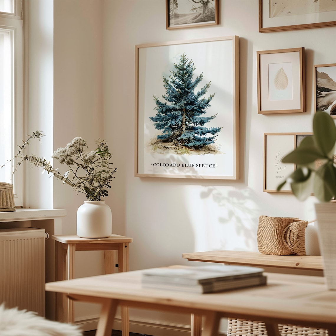 Colorado Blue Spruce Tree Art Print, Botanical Decor - Image 2
