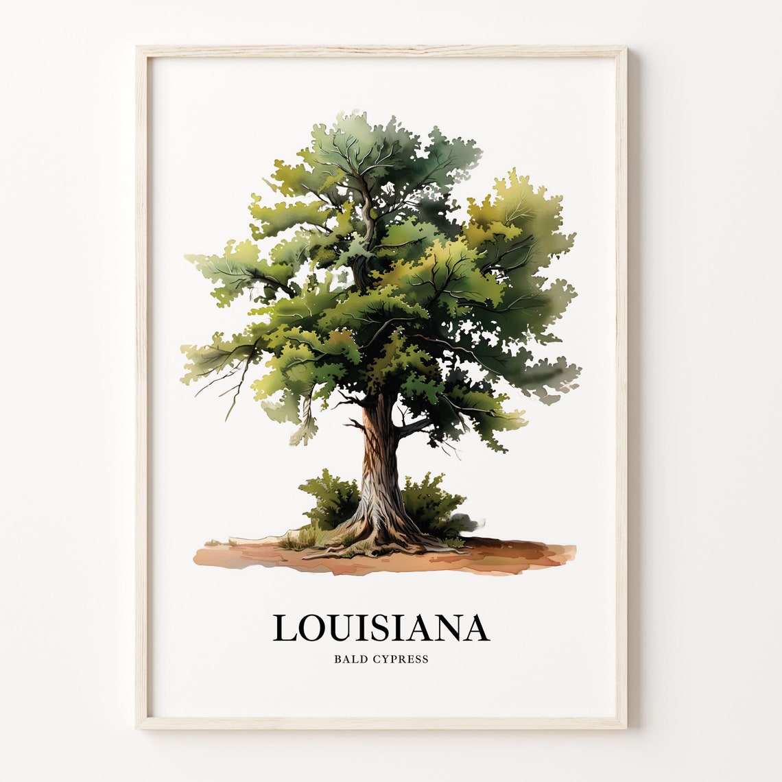 Louisiana Bald Cypress State Tree Bayou Watercolor Art Poster